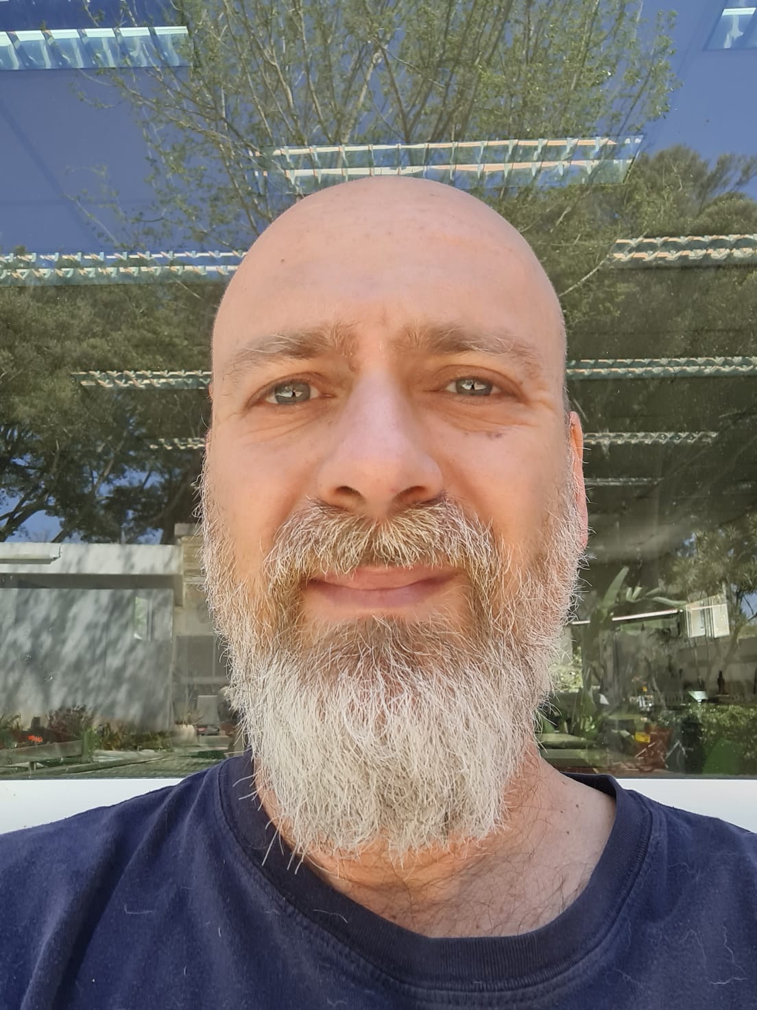 גיא עמיר